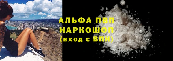 прущие грибы Абинск