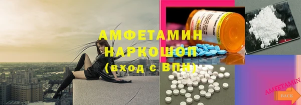 прущие грибы Абинск