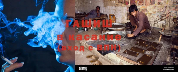 прущие грибы Абинск