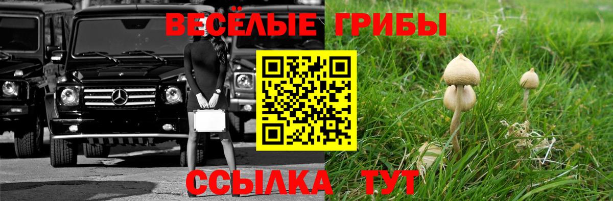 Псилоцибиновые грибы прущие грибы  Вход с VPN  где продают наркотики  Астрахань 